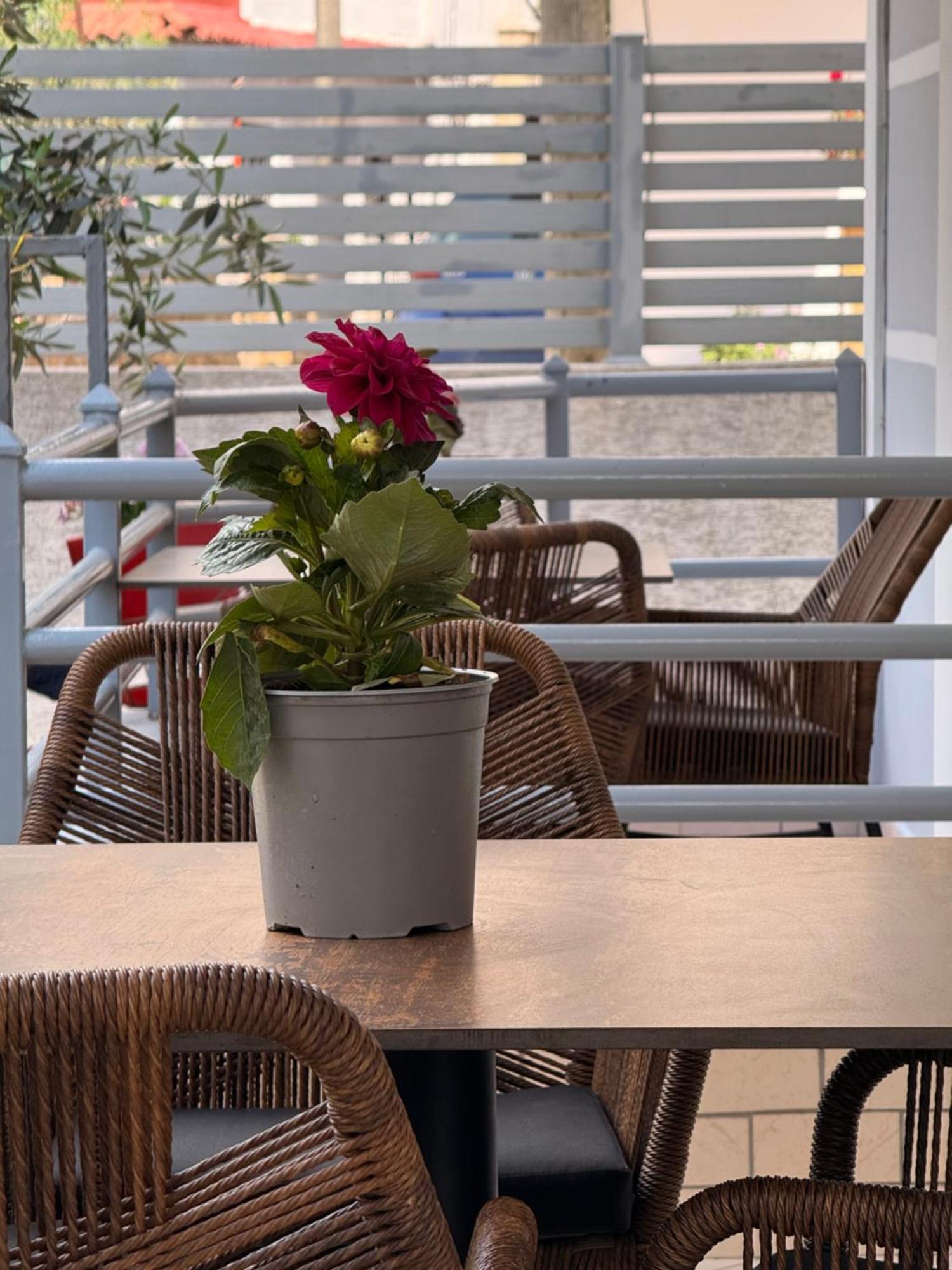Apartments & Studios Ardian-Mandi Sarande-Albania ภายนอก รูปภาพ